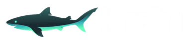 KiteFin Studios